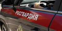 Росгвардейцы задержали мужчину, находящегося в федеральном розыске за кражу сейфа (видео) - Росгвардия