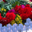 День памяти и скорби - Ковернинский муниципальный округ