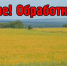 Внимание! Обработка посевов. - Палехский район