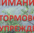 Шквалистое усиление ветра 24 июня 2026 года. - Вилегодский муниципальный округ