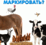 ОБЯЗАТЕЛЬНОЕ МАРКИРОВАНИЕ ЖИВОТНЫХ. - Город Ровеньки