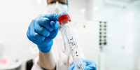 Клещевой энцефалит: Кому положена бесплатная вакцина и когда следует прививаться - Сетевое издание Север
