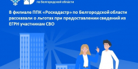 В филиале ППК «Роскадастр» по Белгородской области рассказали о льготах при предоставлении сведений из ЕГРН участникам СВО. - Старооскольский городской округ