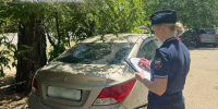 "Паутина" в действии: как автоматизированная база данных  помогает судебным приставам находить должников - УФССП России