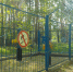 dscn6720-1 - Тамбовский курьер