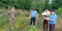 В Донецке стартовали рейды по борьбе с наркотическими растениями в рамках I этапа акции «Единый день борьбы с дикорастущей коноплей» - Город Донецк