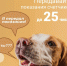 i - 2026-06-23T171102.343 - РИА 7 Новостей