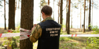 Начальник рамешковского отдела лесничества обвиняется в незаконной рубке - Афанасий-биржа