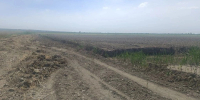В Будённовске не будут возбуждать дело по факту повреждения городища Маджар - ИА Победа 26