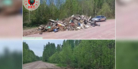 В Ленинградской области ликвидировали две крупные свалки у дорог - Spbdnevnik.ru