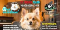 В Уфе пройдет музыкальный фестиваль в защиту животных - Башинформ