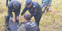 Житель Архангельской области осужден к пожизненному лишению свободы за совершение серийных убийств женщин в 1990 годах - Следственный комитет
