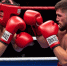 Петр Ян объяснил отсутствие на турнире UFC в Белом доме - ИА Нарьян-Мар on-line