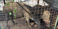 Фото: комитет по природовользованию - Мой район