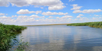 река вода паводок - Сетевое издание Арбуз