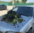 s15spa3yg6rxivrn2k4emmj8qzfj1m2b - Novosti-Saratova.Ru