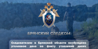 Следователем в Брянской области возбуждено уголовное дело по факту утопления двоих несовершеннолетних в водоеме города Унечи - Следственный комитет