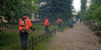 В мэрии отчитались где скосили траву в Иркутске - Baikal24.Ru
