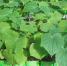 DSC01532_литл.jpg - УФСИН