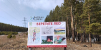 Бурятия перестала гореть - ИА Байкал-Daily