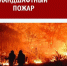 Памятка населению о ландшафтных пожарах. - Северо-Енисейский муниципальный округ