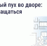 Что делать, если двор заполонил тополиный пух - Министерство градостроительной политики