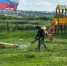 На пригородной территории Ленинского района провели повторную обработку общественных территорий от комаров - Администрация г. Барнаул