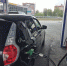 Фото Елены Ковалевой - Tumentoday.Ru