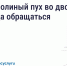 Что делать, если двор заполонил тополиный пух. - Ужурский район