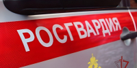 Росгвардейцы пресекли конфликт в одном из пензенских баров - Пенза-Обзор