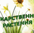 “Зелёная аптека” - Библиотеки Тамбовской области