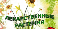 “Зелёная аптека” - Библиотеки Тамбовской области