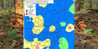 Сводка пожароопасности на 23.06.2026 - Министерство лесного хозяйства