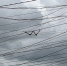 Lacwu1aKIaeSCIxn9bU1eQ9lkoRPph6sj0at82VOAToWaJYJJCt9KKZKe5NQRTpLugPj7YlrGpJKdBqkVAxBr96m - Рязанские ведомости