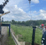 В деревне Черезы и селе Васильевское появилось освещение - Свойкировский.рф