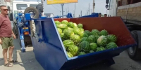 В Новосибирске около 10 тонн арбузов изъяли у нелегальных торговцев на ГБШ - Precedent.TV