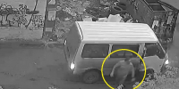 «Мужик, ты попал на камеру»: поступок жителя Владивостока «взбесил» горожан - ГТРК Владивосток