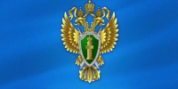 Вынесен приговор жителю Городищенского района, похитившего денежные средства бывшей супруги - Городищенский район