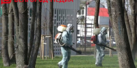 Сегодня в Белгороде пройдёт акарицидная обработка общественных пространств - Belnovosti.Ru
