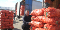 В омских магазинах подешевел репчатый лук - Вечерний Омск