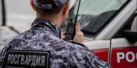 Приятели из Мурманска из магазина отправились в полицию - SeverPost.ru