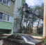 img - ЛДПР