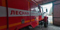 Второе возгорание ликвидировано в лесах Нижегородской области  - Министерство лесного хозяйства