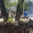 Зло у Северного вокзала напоролось на проверяющих - ИА Русский Запад