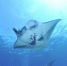 Фото: uccisea1970 / pixabay.com - KaliningradNews.Ru