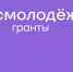 Два новгородских проекта стали победителями конкурса Росмолодежь.Гранты - 53news.Ru