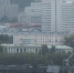29 июня стартует прием заявок от самозанятых граждан города Мурманска на предоставление субсидий - Город Мурманск