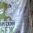 По экспонатам зала «Выборг — город воинской славы» можно изучать военную биографию города - Гатчинская служба новостей