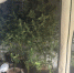 JPG Файл - УМВД Новгородской области