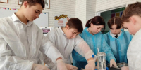 Выпускники агротехнологических классов получат дополнительные 10 баллов при поступлении в Донбасскую аграрную академию - Минобрнауки ДНР